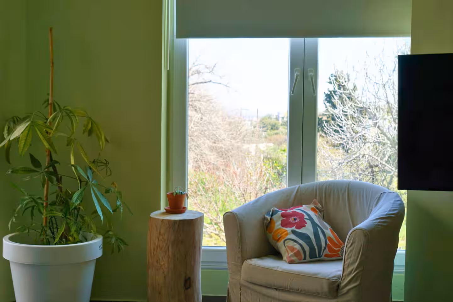 Casa Ikigai photo 6